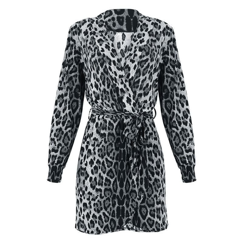 Leopard Print Long Sleeve V-Neck Dress - Empire Wardrobe