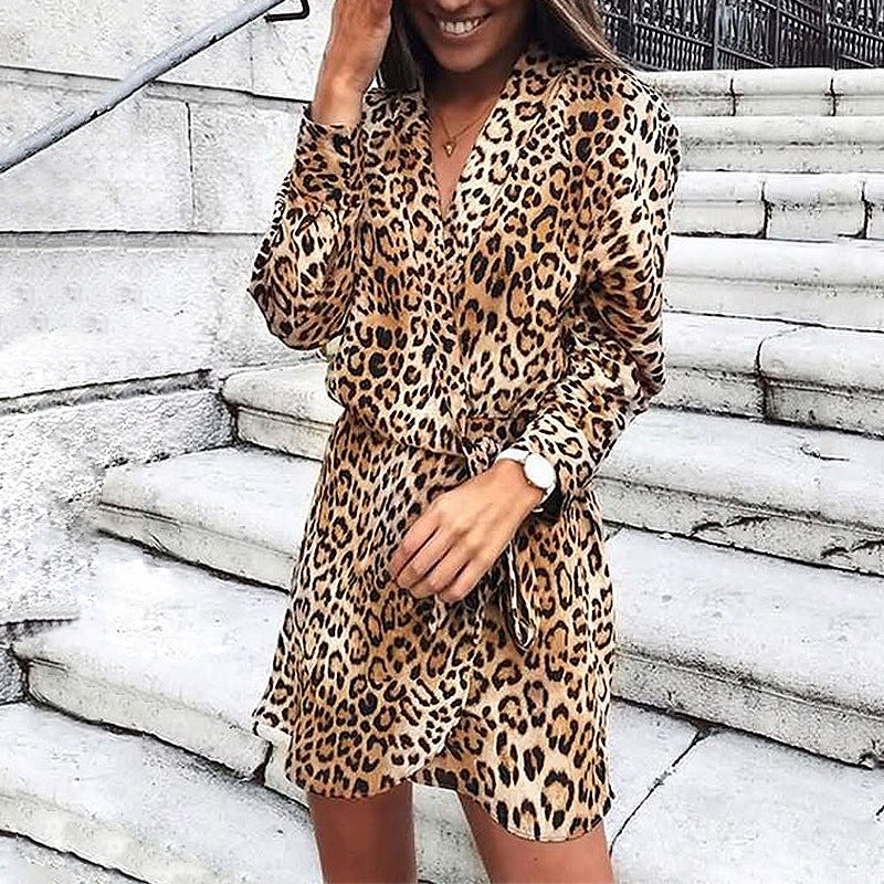 Leopard Print Long Sleeve V-Neck Dress - Empire Wardrobe